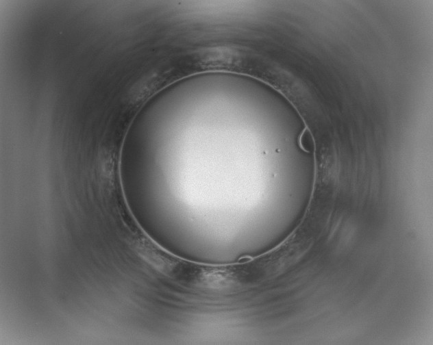 X0000073870753200608101509