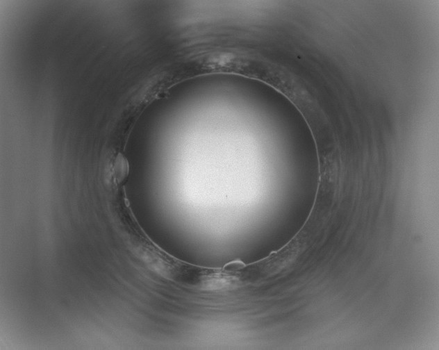 X0000073870754200608101509