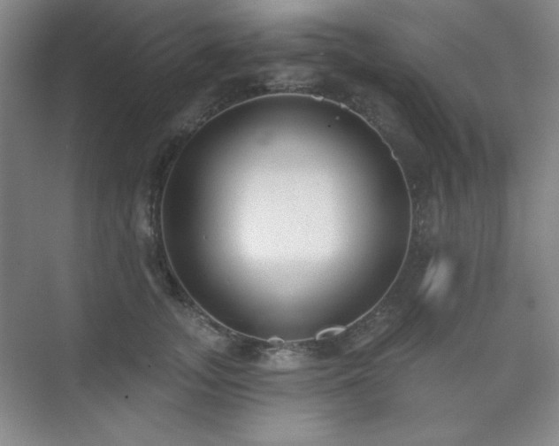 X0000073870755200608101509