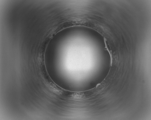 X0000073870756200608101509