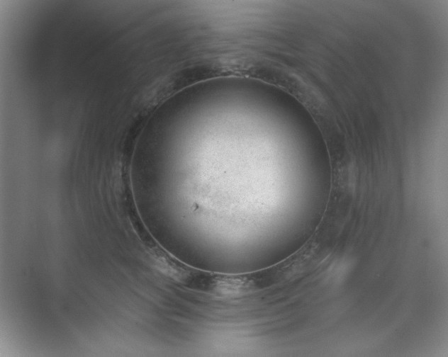 X0000073870757200608101509