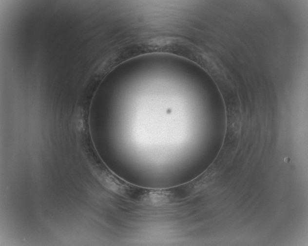 X0000073870758200608101509