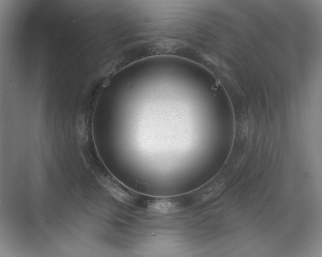 X0000073870759200608101509