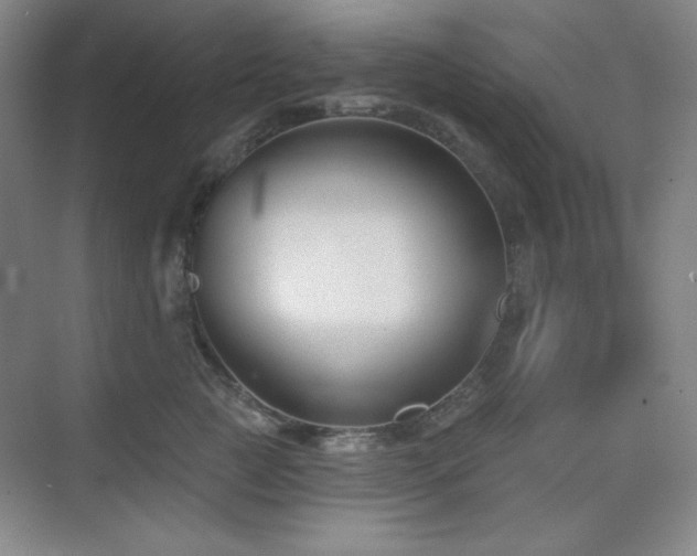 X0000073870761200608101509