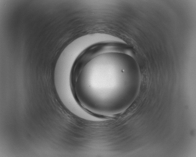 X0000073870762200608101509