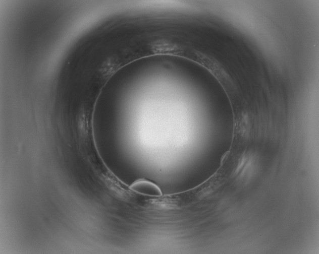 X0000073870763200608101509