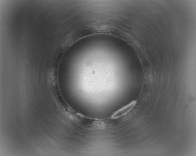 X0000073870764200608101509