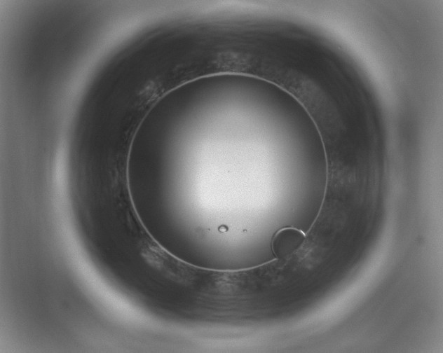 X0000073870765200608101509