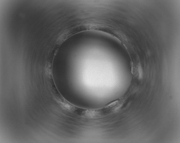 X0000073870766200608101509