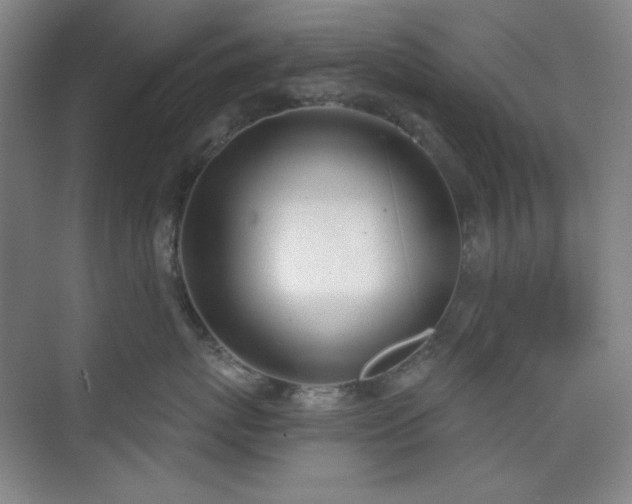 X0000073870767200608101509