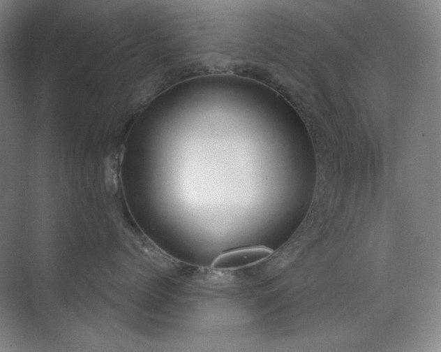 X0000073870768200608101509