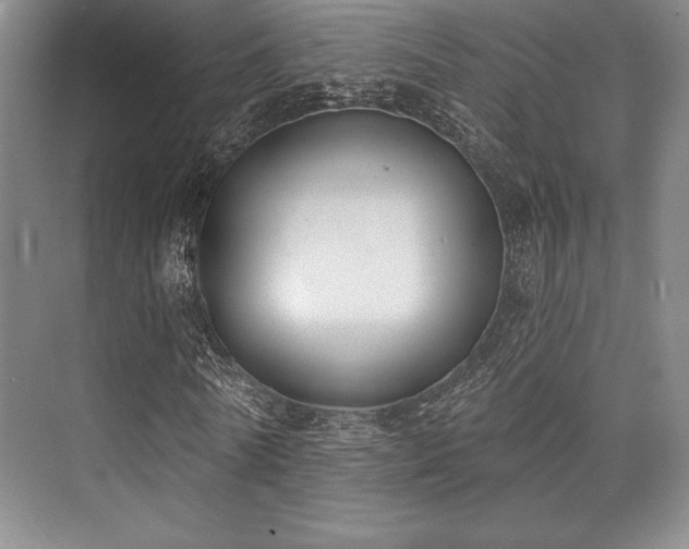 X0000073870770200608101509