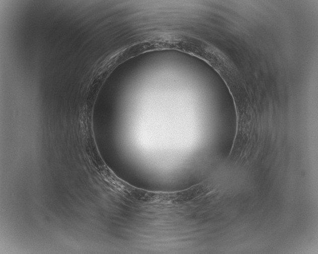 X0000073870773200608101509