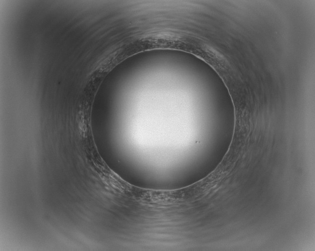 X0000073870774200608101509