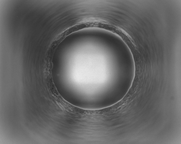 X0000073870775200608101509