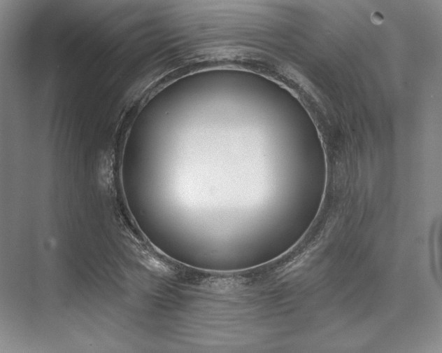 X0000073870778200608101508