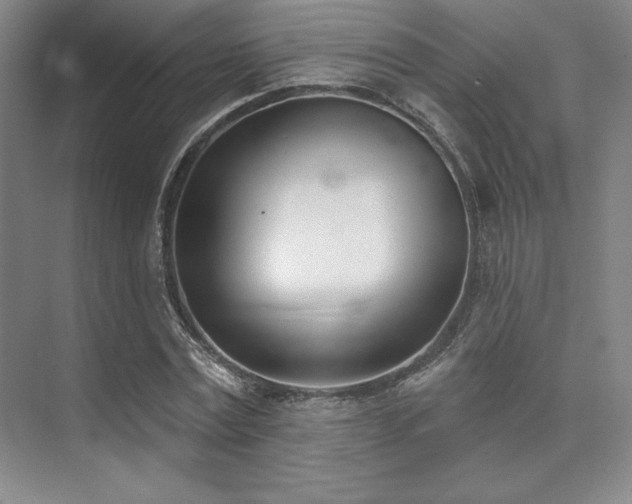 X0000073870779200608101508