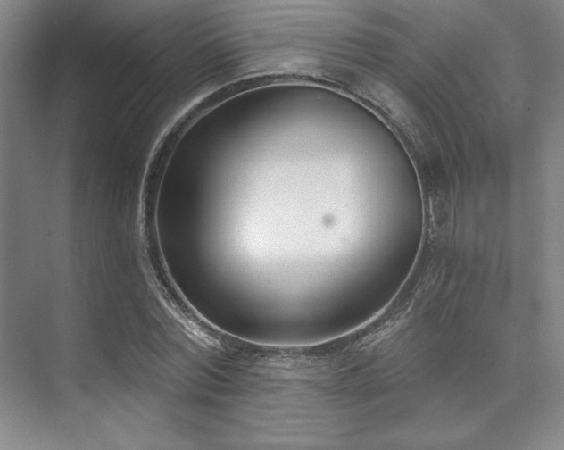 X0000073870780200608101508