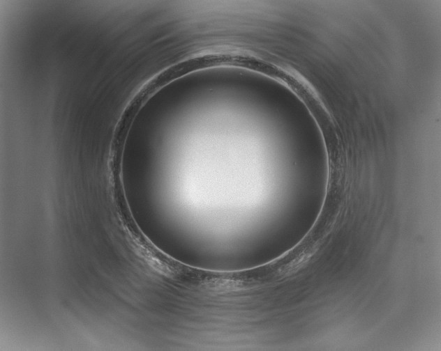 X0000073870783200608101508