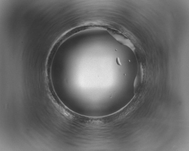 X0000073870784200608101508