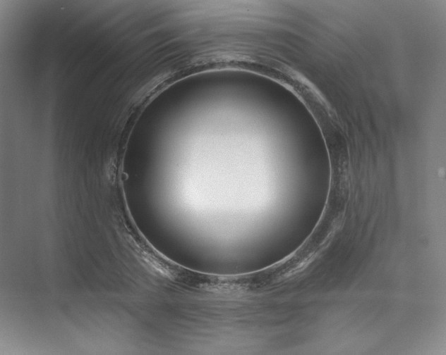 X0000073870785200608101508