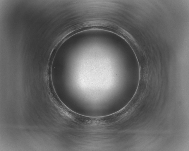 X0000073870786200608101508