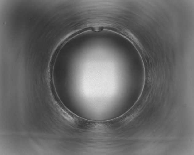 X0000073870787200608101508