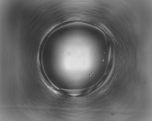 X0000073870788200608101508