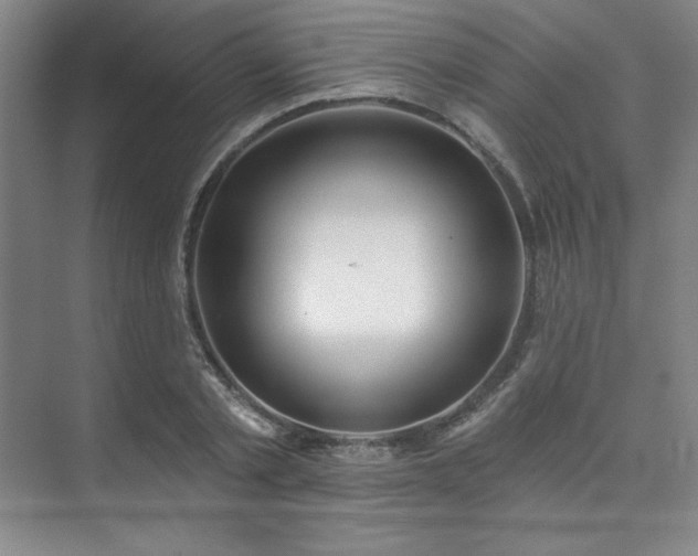 X0000073870789200608101508