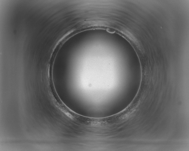 X0000073870790200608101508