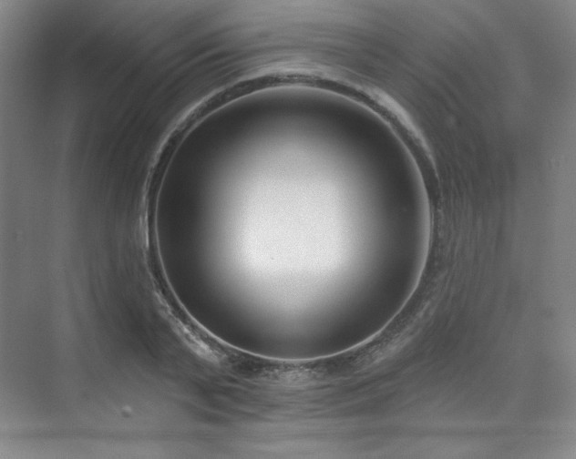 X0000073870791200608101508