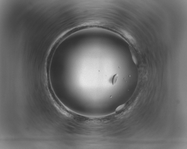 X0000073870792200608101508