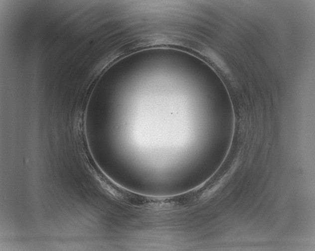 X0000073870793200608101508