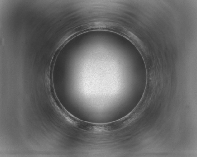 X0000073870794200608101508