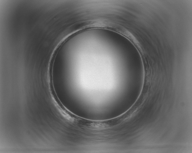 X0000073870795200608101508