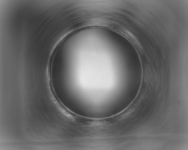 X0000073870796200608101508