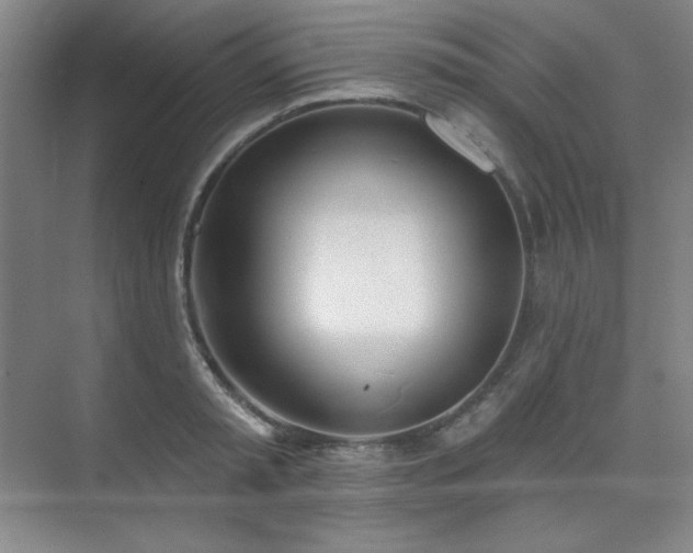 X0000073870797200608101508