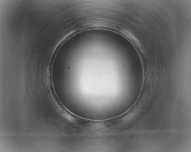 X0000073870798200608101508