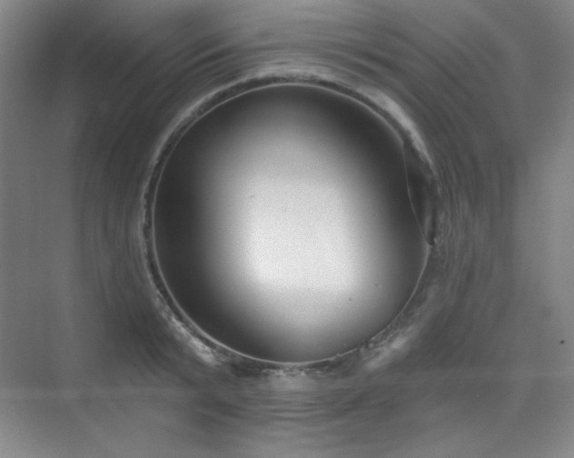 X0000073870799200608101508