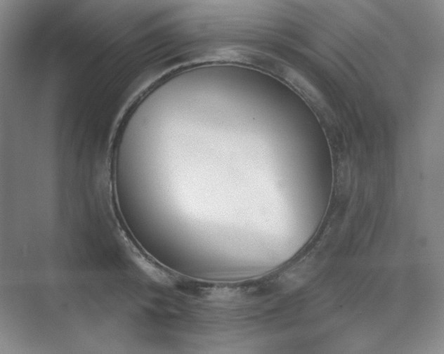 X0000073870800200608101508