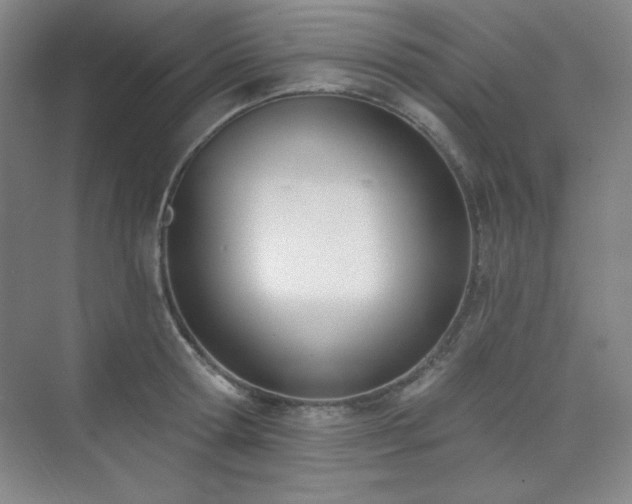 X0000073870802200608101508