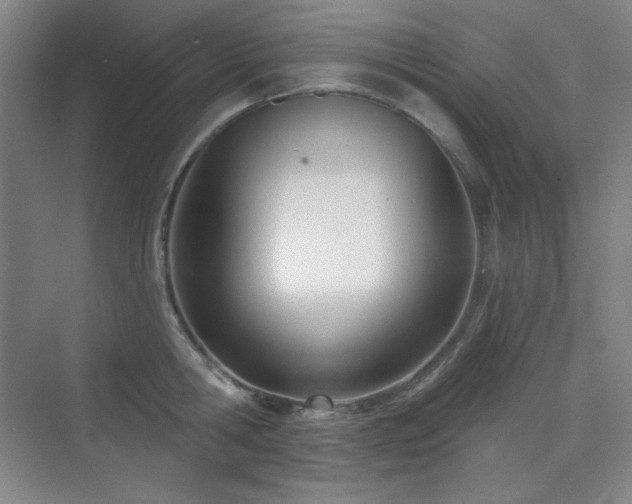 X0000073870806200608101508