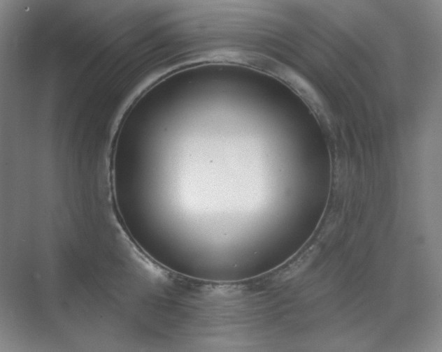 X0000073870808200608101508