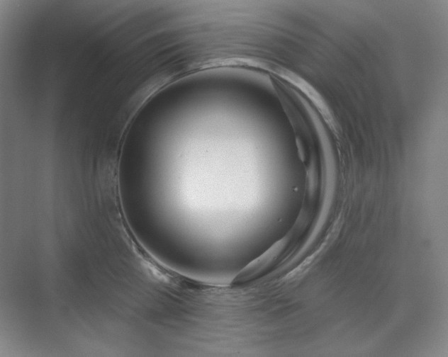 X0000073870809200608101508