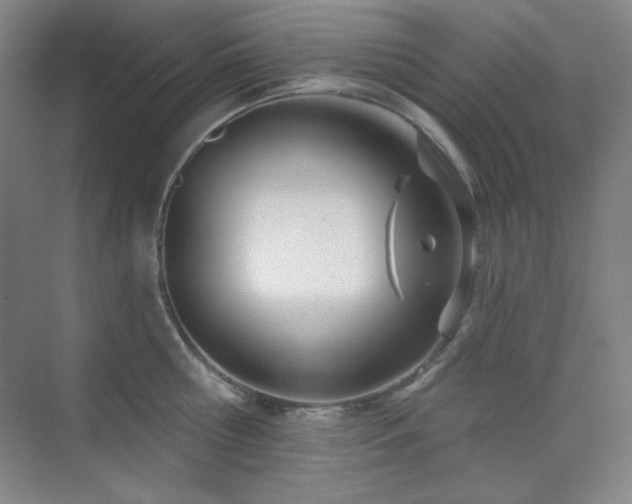 X0000073870810200608101508