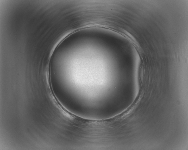 X0000073870812200608101508