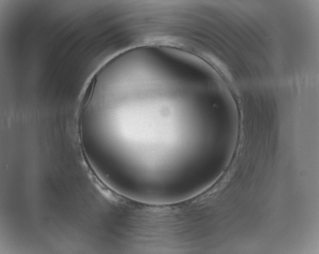 X0000073870816200608101508