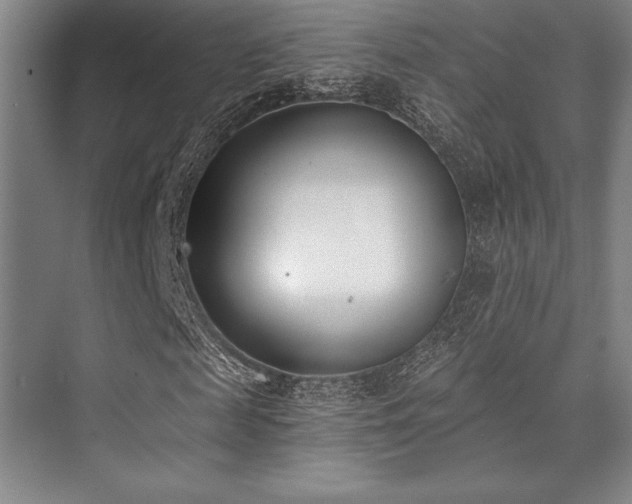 X0000073870817200608101507