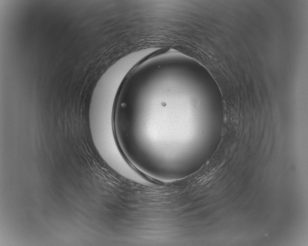 X0000073870818200608101507