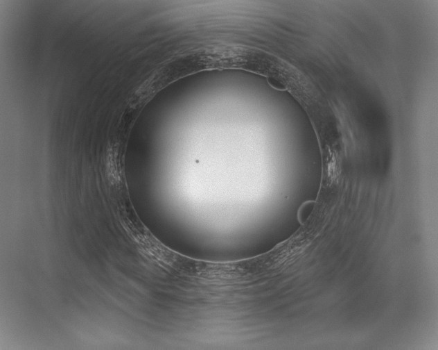 X0000073870819200608101507